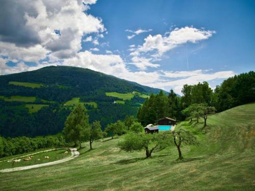 Příroda nedaleko apartmánu