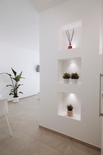 a white room with potted plants on shelves at Gioema in Borgo Vodice