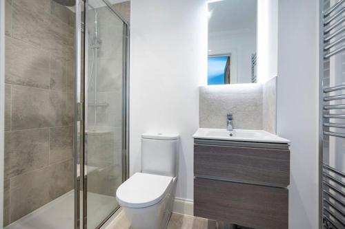 a bathroom with a toilet and a shower and a sink at Kestral House in Eye