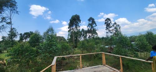 a person standing on a wooden bridge with trees in the background at J and k villa in Fort Portal