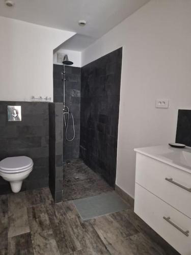 une salle de bain avec une douche, des toilettes et un lavabo dans l'établissement Appartement Toulon Mourillon, à Toulon