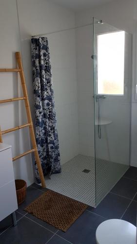 une douche avec une porte vitrée dans une salle de bain dans l'établissement maison proche du lac, à Aureilhan