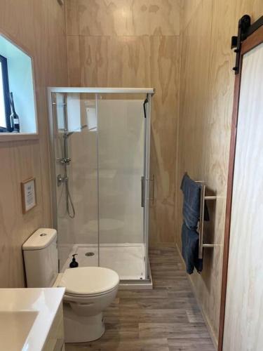 a bathroom with a shower and a toilet and a sink at LyeInn - Newstead Country Retreat in Newstead