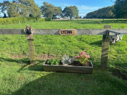 Κήπος έξω από το LyeInn - Newstead Country Retreat