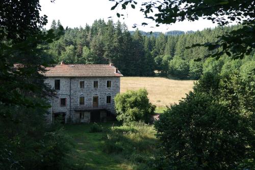 une ancienne maison en pierre dans un champ arboré dans l'établissement Afgelegen gite naast rivier omringd door bossen in bergachtige omgeving, à Saint-Bonnet-le-Chastel