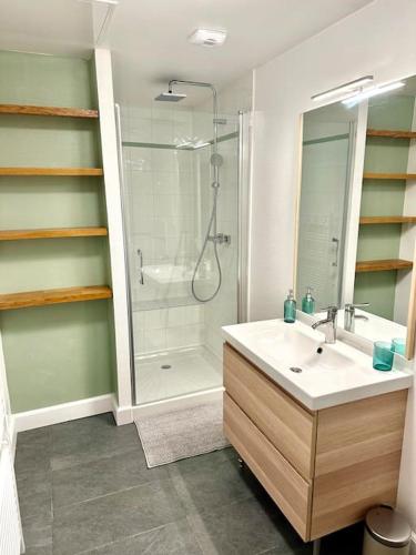 La salle de bains est pourvue d'une douche et d'un lavabo blanc. dans l'établissement Duplex familial à la campagne, à Orcier