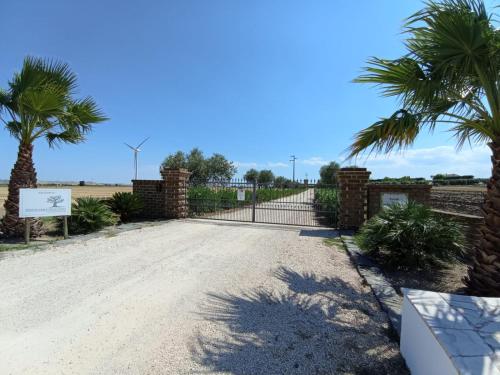 a driveway with a gate and palm trees at Tenuta viale degli ulivi in San Martino in Pensilis