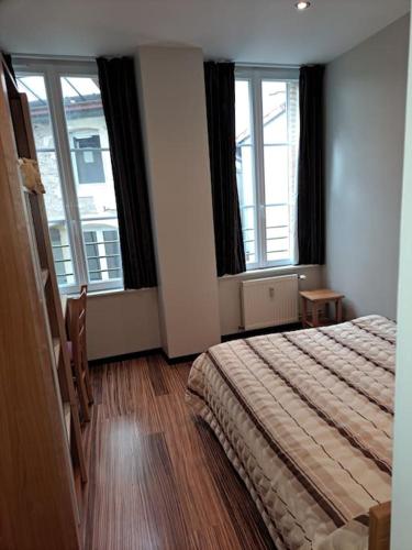 une chambre avec un lit et deux grandes fenêtres dans l'établissement Appartement les sources, à Plombières-les-Bains