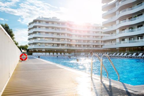 Tree Crown Sea Side Rogowo Pearl