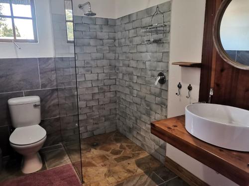a bathroom with a toilet and a sink and a tub at Thatchings Bed and Breakfast in Nottingham Road