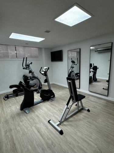 a gym with two exercise bikes and a mirror at Porcel Torre Garden in Madrid
