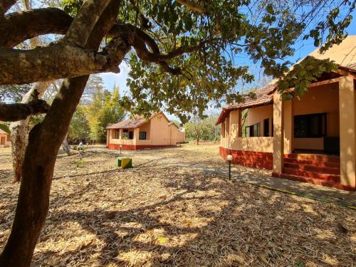 a view of a building and a tree at The Country Club Wildlife Resorts in Bandipūr