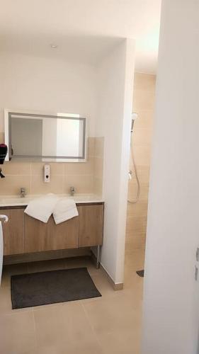 une salle de bain avec un lavabo et un miroir dans l'établissement Maison cosy jardins et détente, à Montélimar