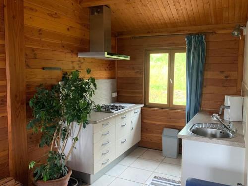 - une cuisine avec une cuisinière et un évier dans une cabine dans l'établissement Gîte jusqu'à 4 personnes, à Prayssas