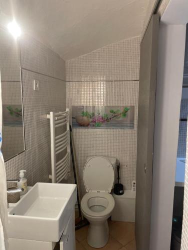 une salle de bain avec des toilettes blanches et un lavabo dans l'établissement Studio la ciotat, à La Ciotat
