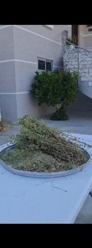 Φωτογραφία από το άλμπουμ του Bujtina Amar σε Lazarat