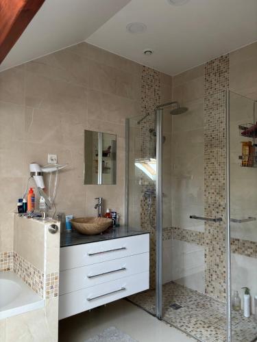 une salle de bain avec un lavabo et une douche dans l'établissement Chambre a louer a Chelles 20 minutes de Paris ou Disneyland RER E, à Chelles