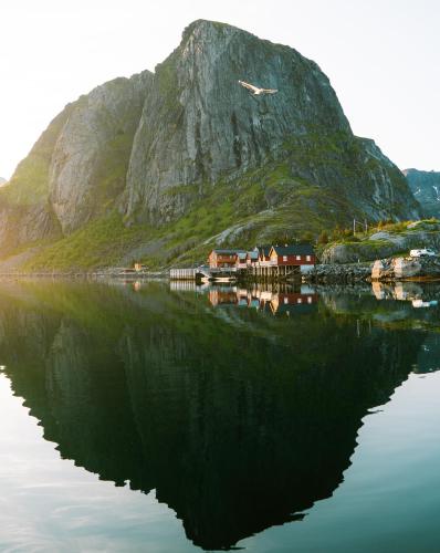 a mountain is reflected in a body of water at Reinefjorden Sjøhus in Reine