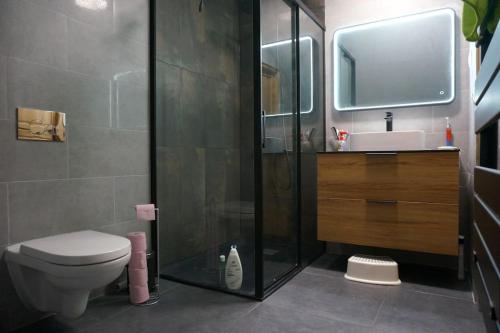 une salle de bain avec une douche, des toilettes et un lavabo dans l'établissement Etage privé dans maison, à Houilles