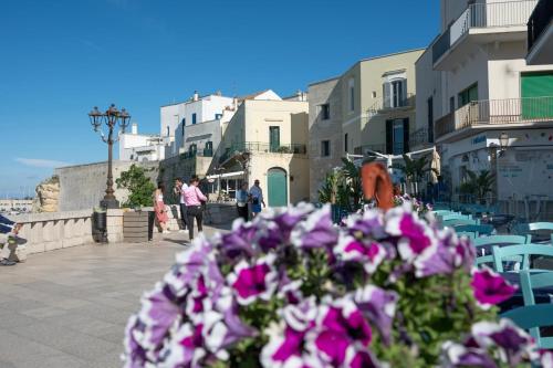 a bunch of purple flowers on a street with buildings at Riva Mediterranea in Otranto