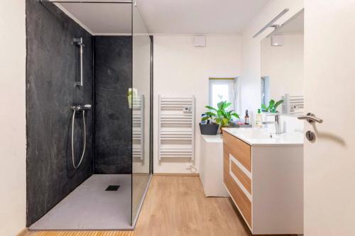 a bathroom with a shower and a sink at Appartement "L'orée des trois frontières" in Allondrelle-la-Malmaison