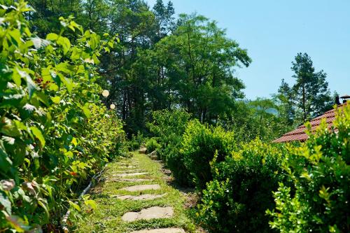 a stone path in a garden with bushes and trees at Vila Victoria in Pangarati