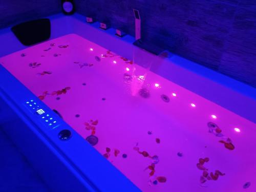 a hot tub with pink lights in a room at Wohlfühloase Ermreuth in Neunkirchen am Brand