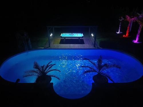 a blue pool with palm trees in the dark at Wohlfühloase Ermreuth in Neunkirchen am Brand