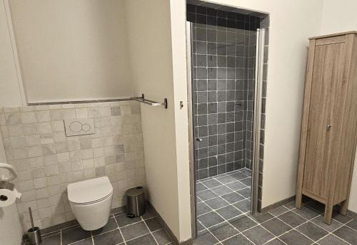 a bathroom with a toilet and a glass shower at Vakantiehuis Pippa in Peer