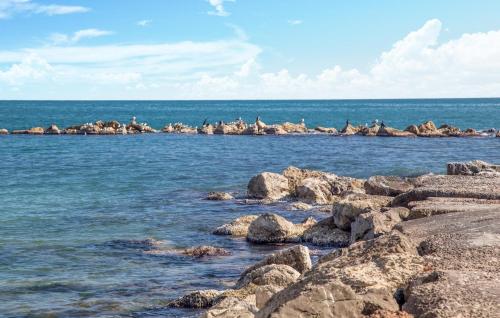 a group of birds sitting on rocks in the water at 1 Bedroom Lovely Apartment In Vinaroz in Vinaròs