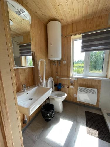 a bathroom with a sink and a toilet at Rāznas ezera namiņš D1 ar elektrisko apkuri in Ragi