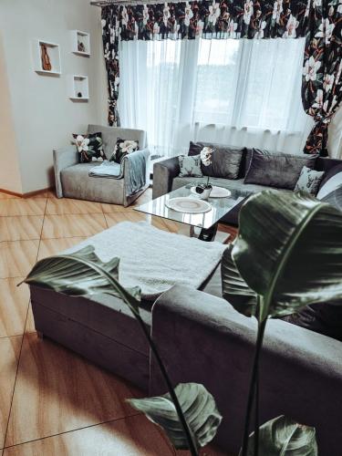 a living room with a couch and a table at Smile Apart in Biały Dunajec