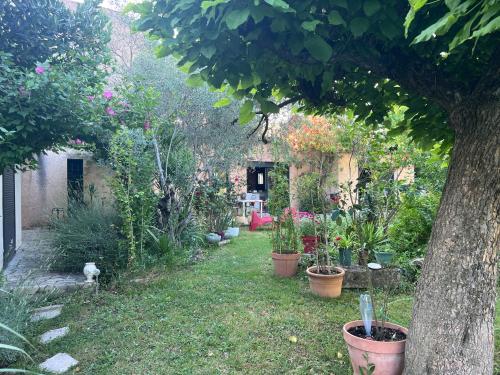a garden with potted plants and a tree at Chambre Zen King Size in Pierrelatte