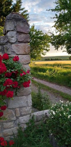 a stone wall with red flowers in a field at Ferienwohnung Am Backhausgarten in Flonheim