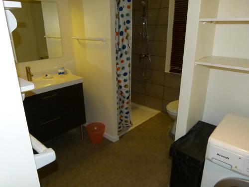 une salle de bain avec un lavabo, des toilettes et une douche dans l'établissement AU PALAIS DES ROIS de MAJORQUE, à Perpignan