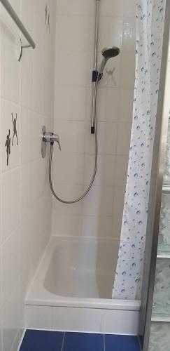 a shower in a bathroom with a tub at SECRA Exclusive Maisonette-Ferienzimmer Am Backhausgarten in Flonheim