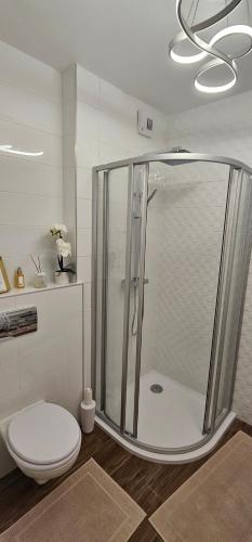 a bathroom with a shower and a toilet at Infinity Apartman Lellemarine in Balatonlelle