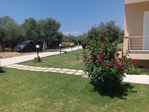 Gallery image of Anatoli Studios in Skala Rachoniou