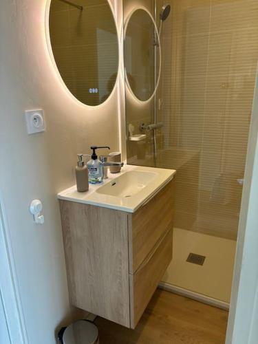 une salle de bain avec un lavabo et un miroir dans l'établissement Appartement Vue mer 