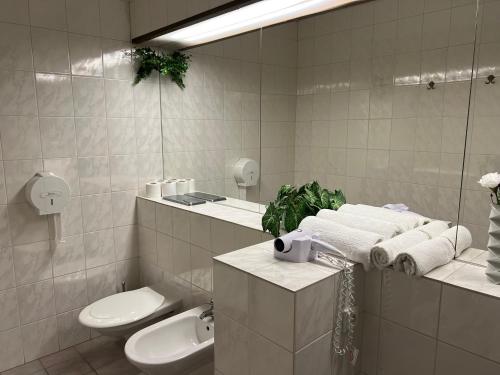 W łazience znajduje się toaleta, umywalka i lustro. w obiekcie Hotel Sloup w mieście Soběslav