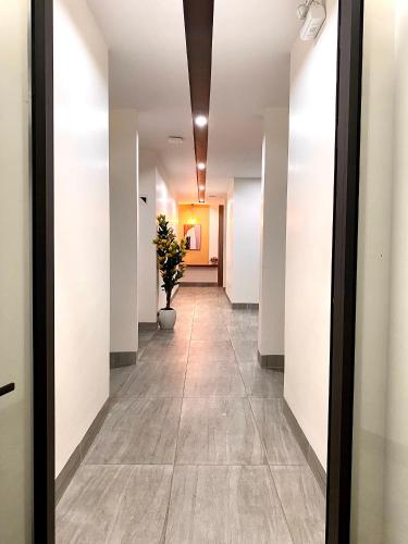 a hallway of an office building with a plant at Lucasta Hotel in Can Tho
