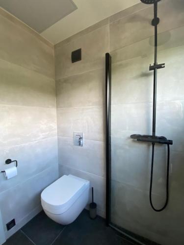 a bathroom with a toilet and a shower at Seaside Rendezvous 2 in Kalana