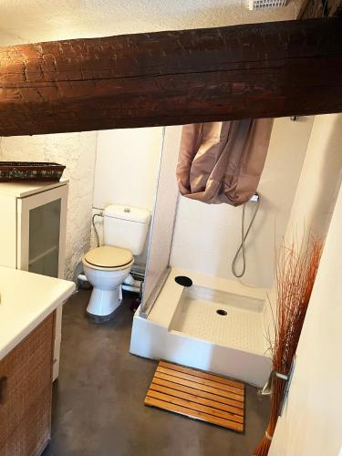 une petite salle de bain avec toilettes et douche dans l'établissement Location de Vacances à Agde, à Agde