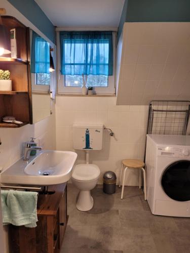 a bathroom with a sink and a toilet and a washing machine at Ferienhaus Möwennest 18 in Tossenserdeich