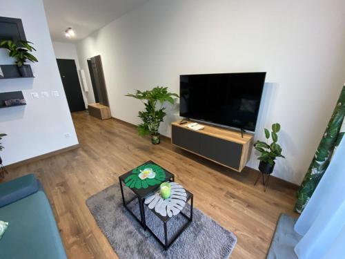TV a/nebo společenská místnost v ubytování EM Room
