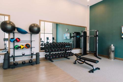 a fitness room with a gym with weights and a mirror at Embassy Suites By Hilton Gatlinburg Resort in Gatlinburg