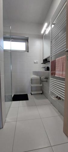 biała łazienka z prysznicem i umywalką w obiekcie Apartmány U Špilínků-lipensko w mieście Horní Planá