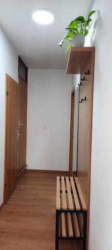 アイドフシュチナにあるApartma Helenaの棚と天井に植物がある部屋