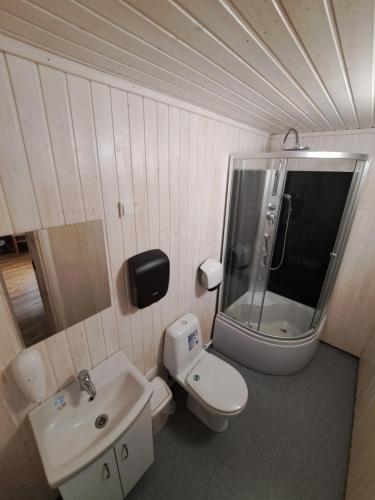 a bathroom with a sink and a toilet and a shower at Paide B&B in Paide