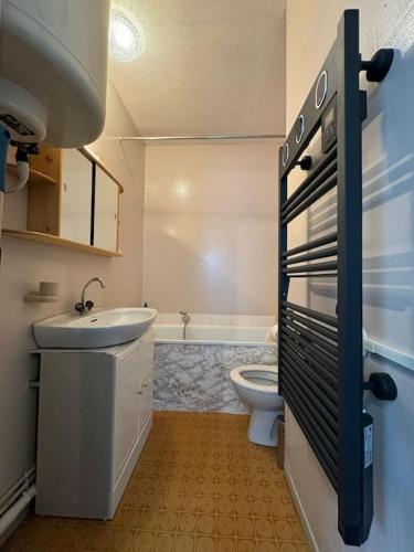 une salle de bain avec un lavabo et des toilettes dans l'établissement L'Escapade Montagneuse, à Eaux-Bonnes
